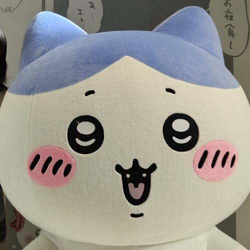 สมาชิกหมายเลข 9262614