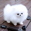 สมาชิกหมายเลข 3887933