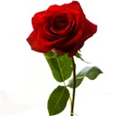 สมาชิกหมายเลข 3890742