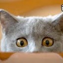 สมาชิกหมายเลข 3890875