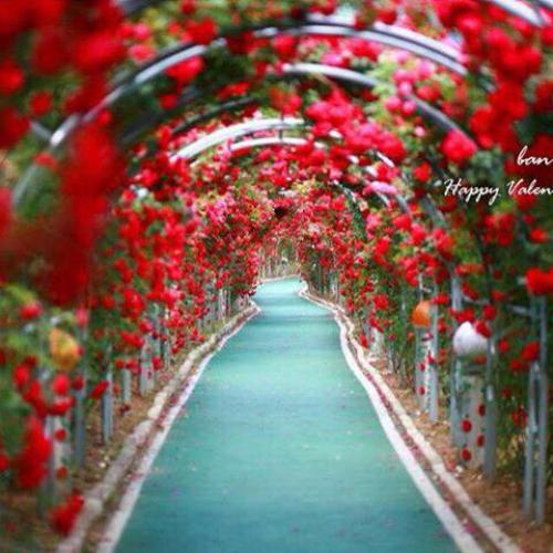 สมาชิกหมายเลข 2124743