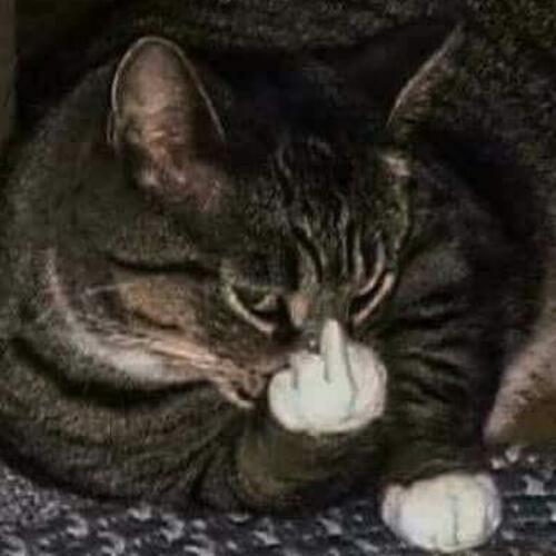 สมาชิกหมายเลข 3378727