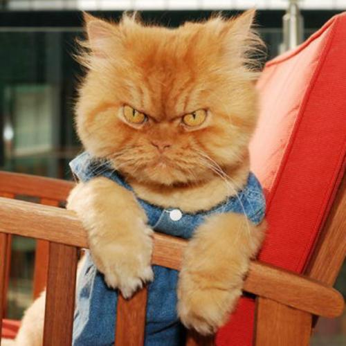 สมาชิกหมายเลข 2924413