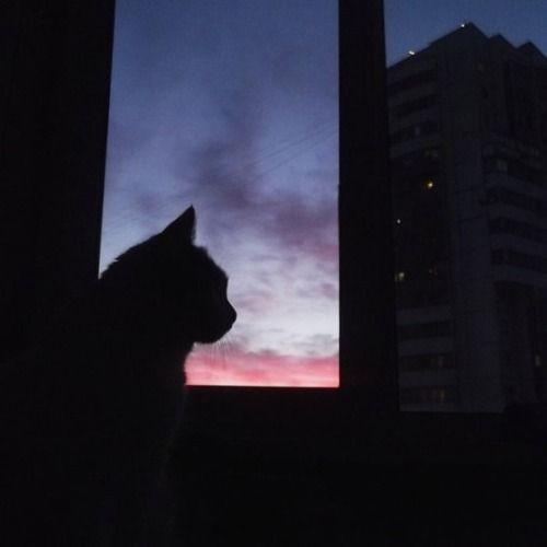 สมาชิกหมายเลข 5486053