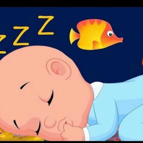 ปัญญาไม่ค่อยมี หน้าตาดีไปวันๆ