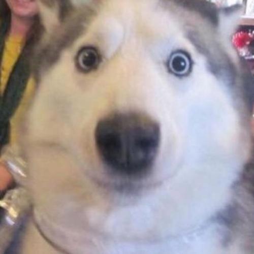 สมาชิกหมายเลข 6023038