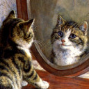 สมาชิกหมายเลข 4358045