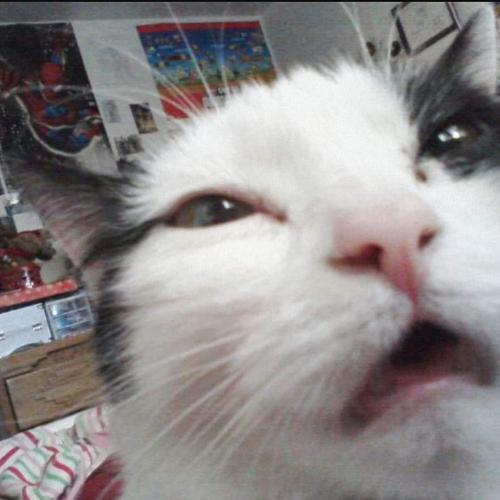 สมาชิกหมายเลข 4129075