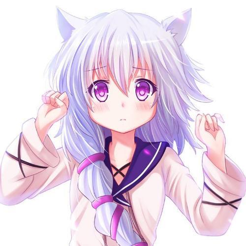 สมาชิกหมายเลข 4856295