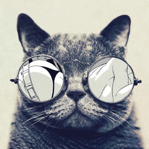 สมาชิกหมายเลข 5094528