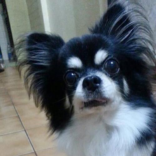 สมาชิกหมายเลข 5096164