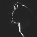 สมาชิกหมายเลข 5488075