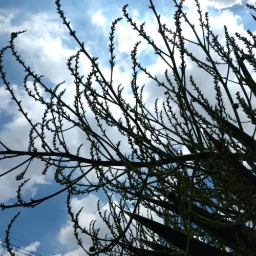 สมาชิกหมายเลข 4707119