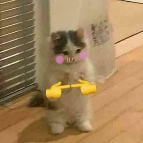 สมาชิกหมายเลข 5963974