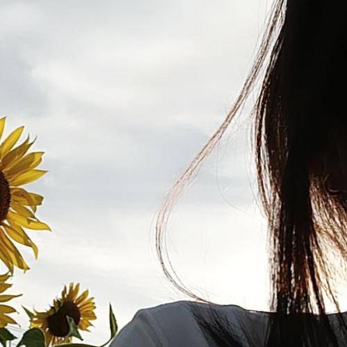 สมาชิกหมายเลข 7381847