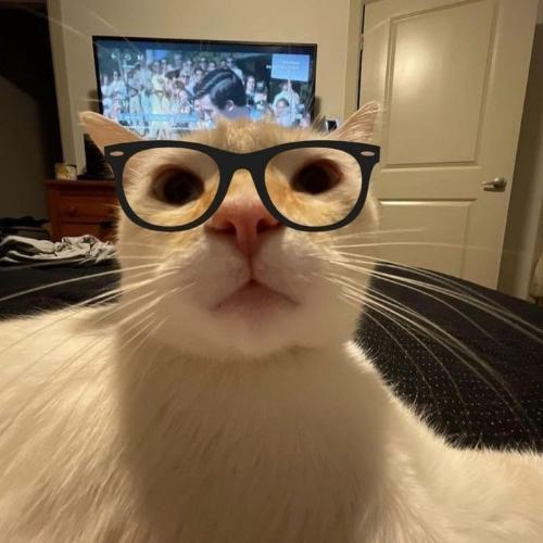 สมาชิกหมายเลข 6950373