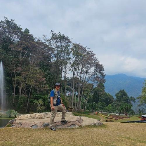 สมาชิกหมายเลข 8266381