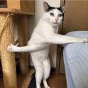 สมาชิกหมายเลข 1568605