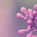 สมาชิกหมายเลข 3892220