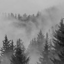 สมาชิกหมายเลข 5096858