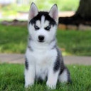 สมาชิกหมายเลข 5467989