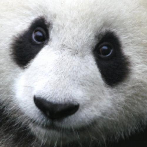 สมาชิกหมายเลข 1090483