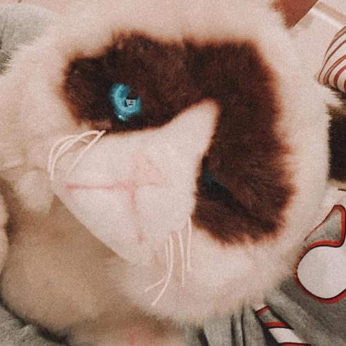 สมาชิกหมายเลข 2491524