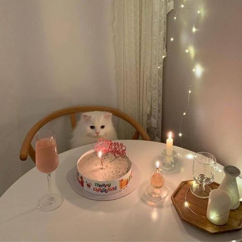 สมาชิกหมายเลข 5968124