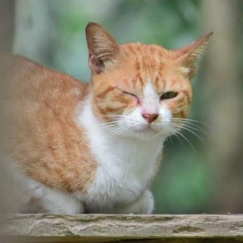 สมาชิกหมายเลข 6638710