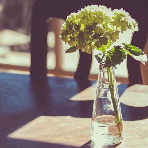 สมาชิกหมายเลข 4051921