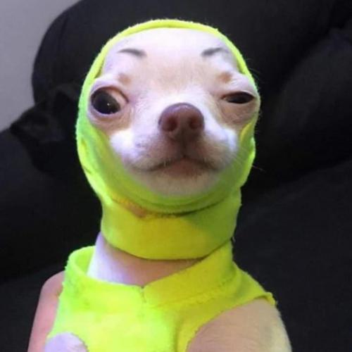 สมาชิกหมายเลข 7351857