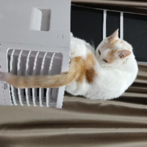 สมาชิกหมายเลข 4688291