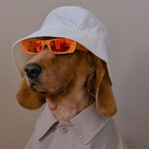 สมาชิกหมายเลข 6360575