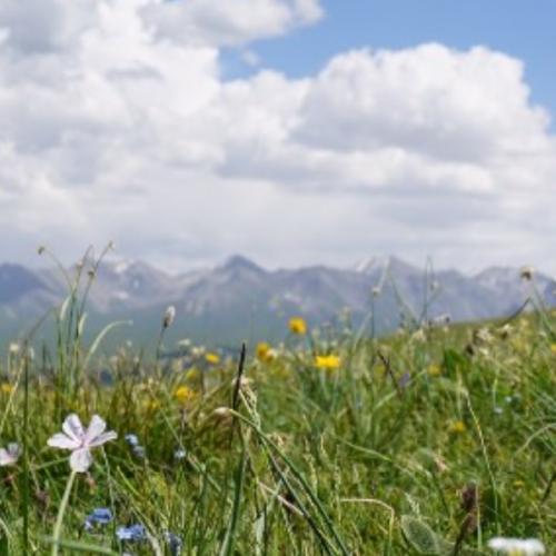 สมาชิกหมายเลข 8261930