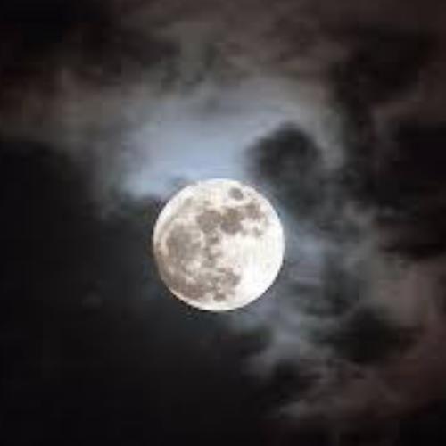 สมาชิกหมายเลข 8267199