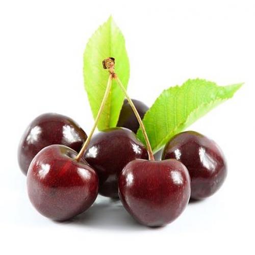 สมาชิกหมายเลข 4358735