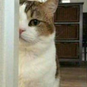 สมาชิกหมายเลข 4359123