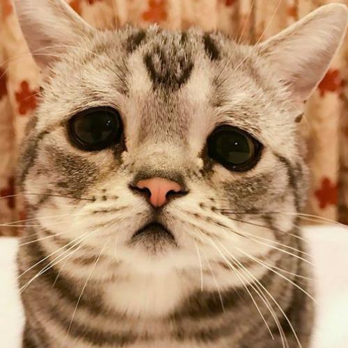 สมาชิกหมายเลข 5488826