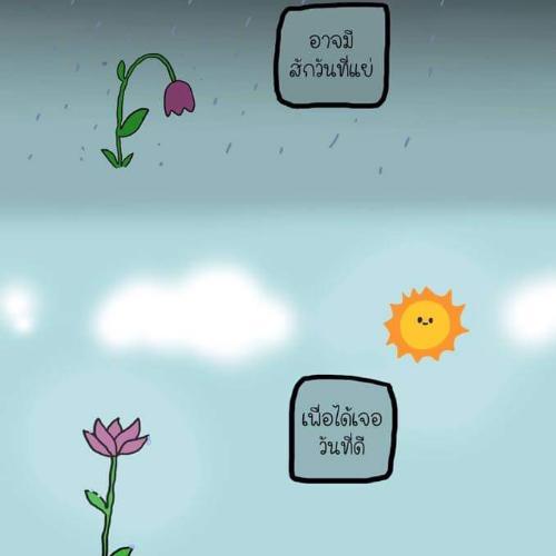 สมาชิกหมายเลข 6024230