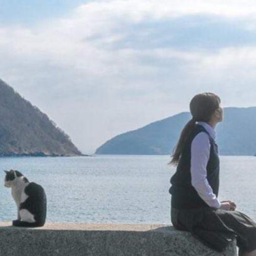 สมาชิกหมายเลข 7376082