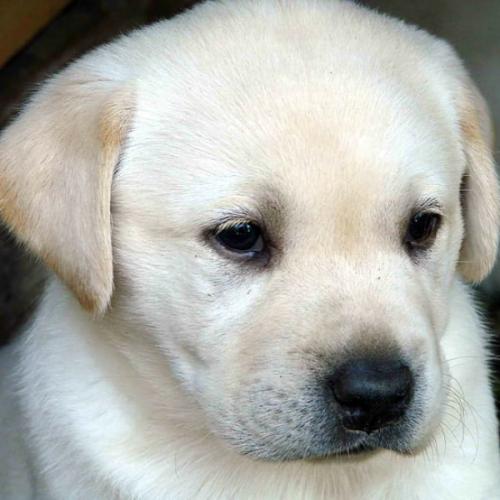 สมาชิกหมายเลข 7613160