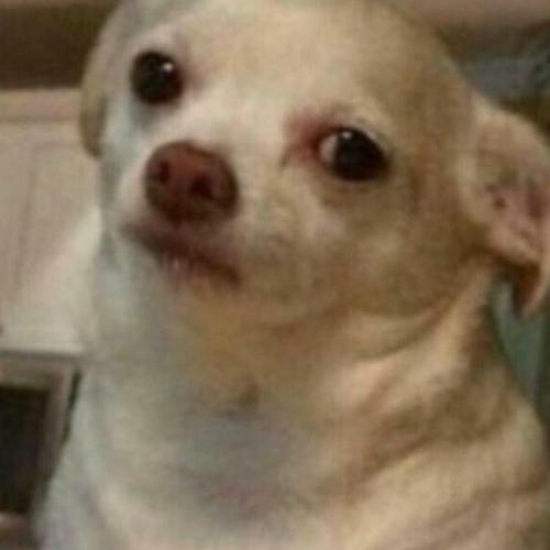 สมาชิกหมายเลข 4707035