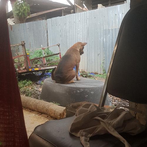 สมาชิกหมายเลข 5097531