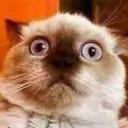 สมาชิกหมายเลข 5489044