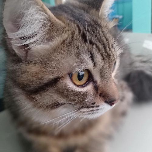 สมาชิกหมายเลข 6025348