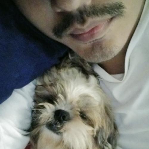 สมาชิกหมายเลข 6415759