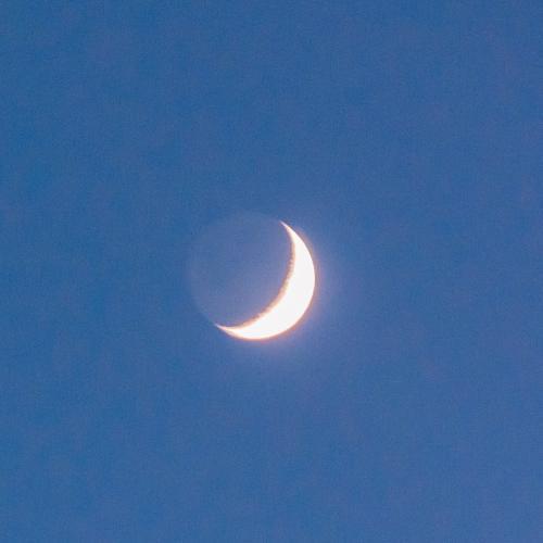 สมาชิกหมายเลข 6639718