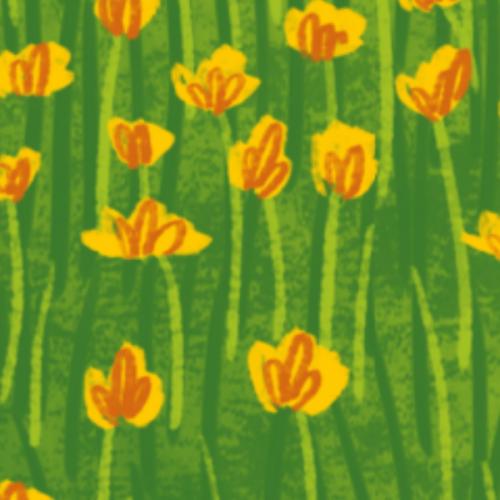 สมาชิกหมายเลข 5179027