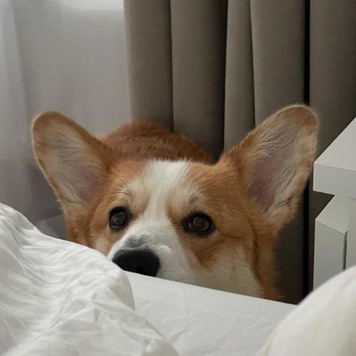 สมาชิกหมายเลข 5484452