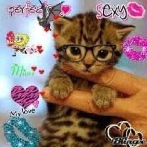 สมาชิกหมายเลข 6058981